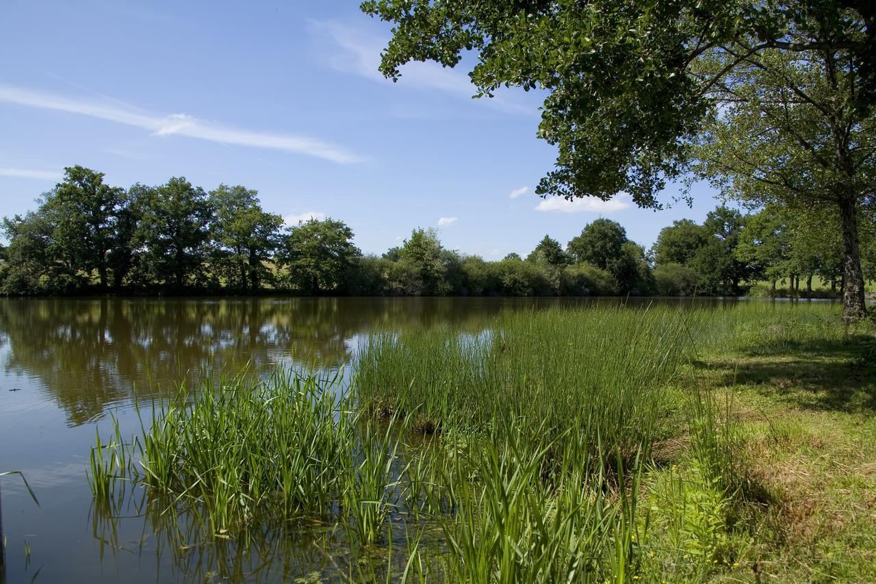 La Maison Du Lac Thionne Esterno foto